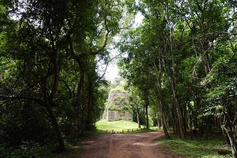 temple in Cambodia